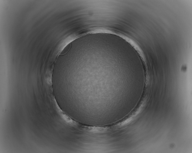 X0000101090905200807101546