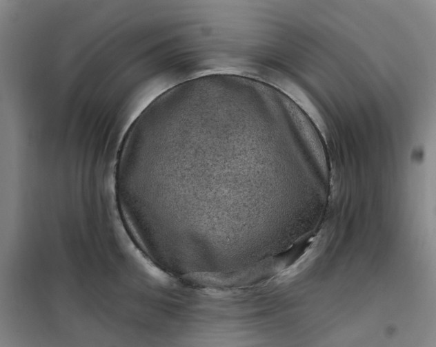 X0000101090906200807101546