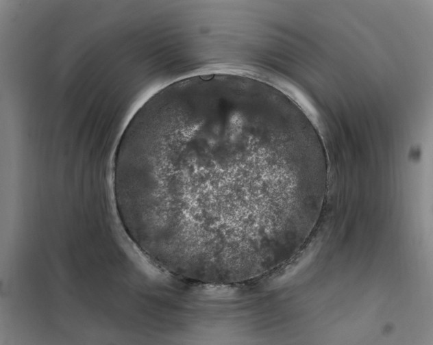 X0000101090907200807101545