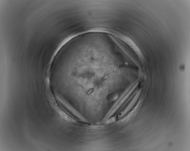 X0000101090908200807101545