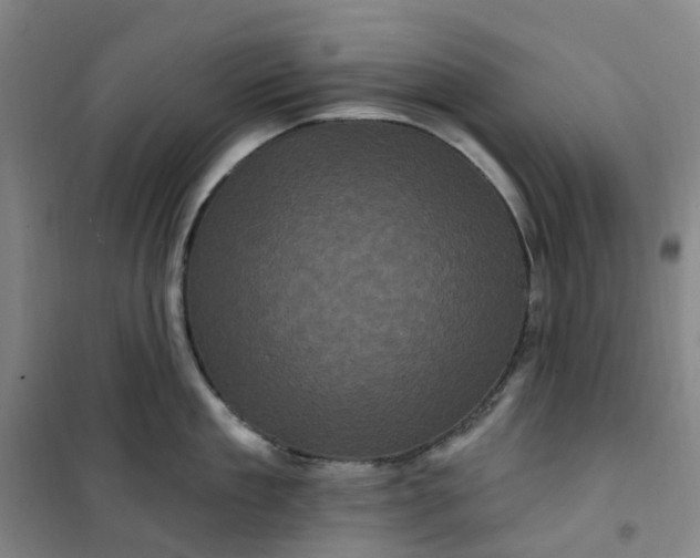 X0000101090909200807101545