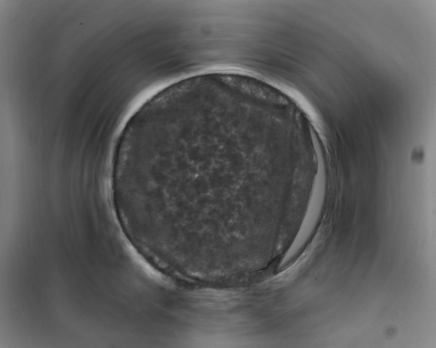 X0000101090910200807101545