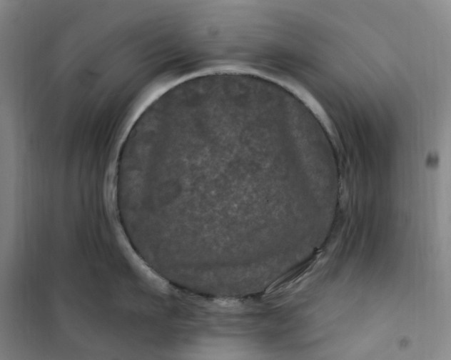 X0000101090911200807101545