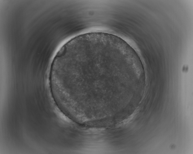 X0000101090912200807101545