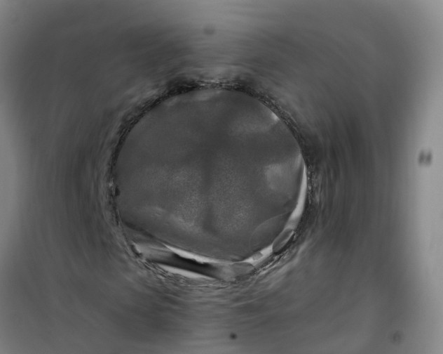 X0000101090913200807101545