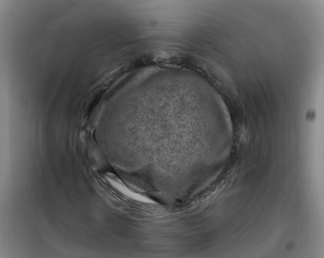 X0000101090914200807101545