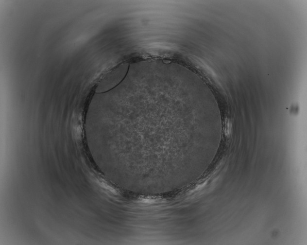 X0000101090915200807101545