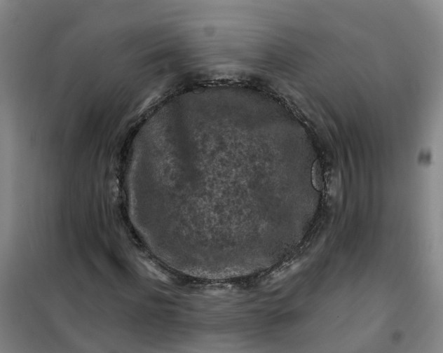 X0000101090916200807101545