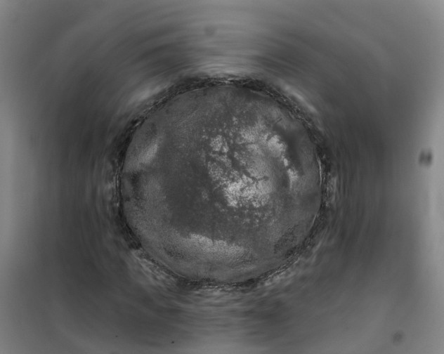 X0000101090917200807101545