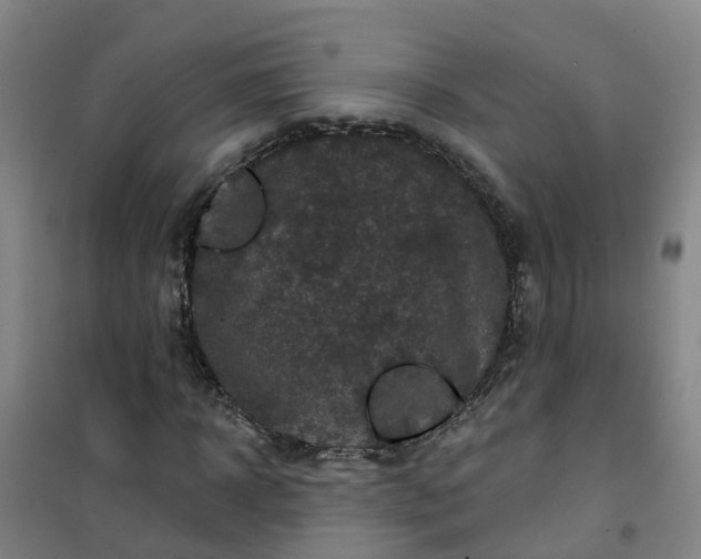 X0000101090918200807101545