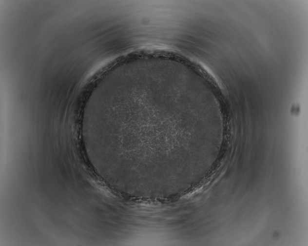 X0000101090919200807101545