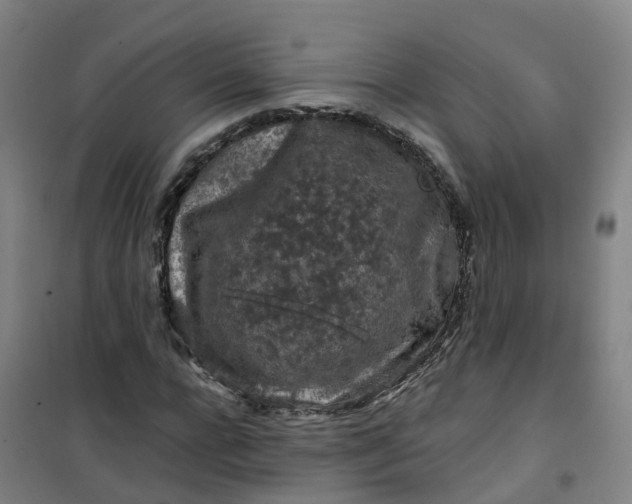 X0000101090920200807101545