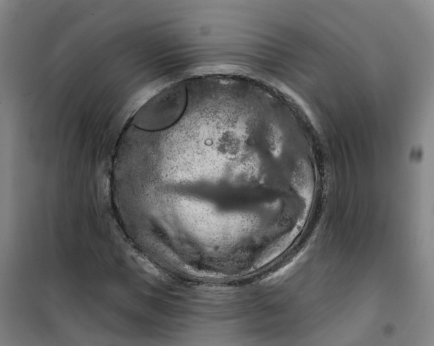 X0000101090921200807101545