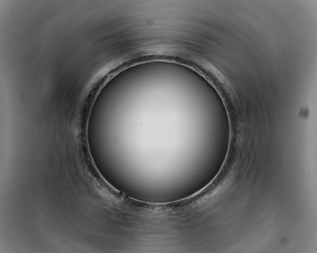 X0000101090922200807101545