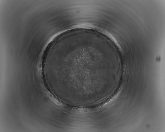 X0000101090923200807101545