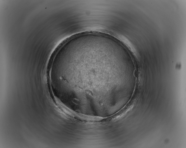 X0000101090924200807101545