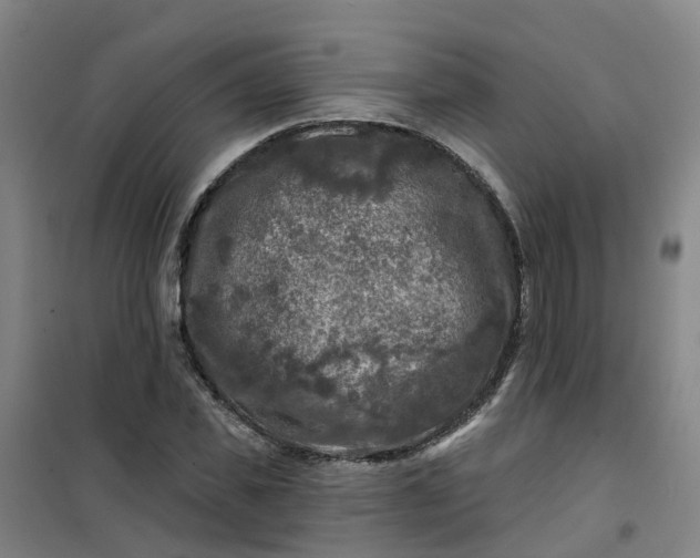 X0000101090925200807101545