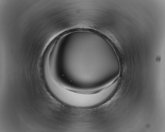 X0000101090926200807101545