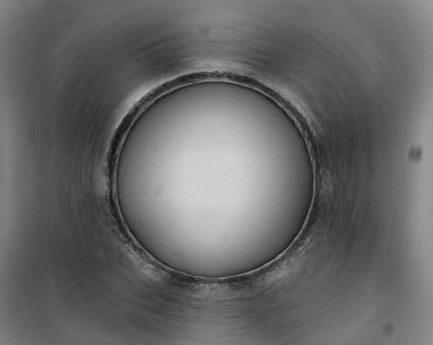 X0000101090927200807101545