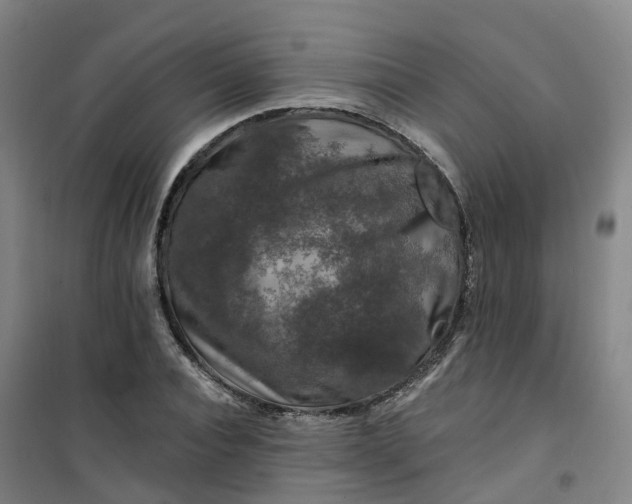 X0000101090928200807101545