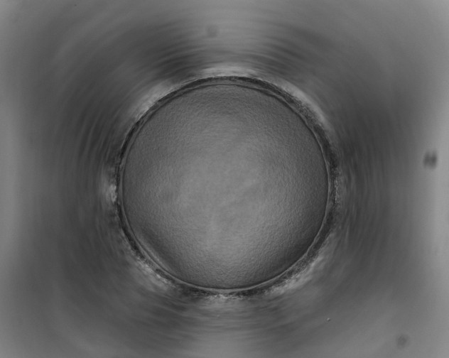 X0000101090929200807101545