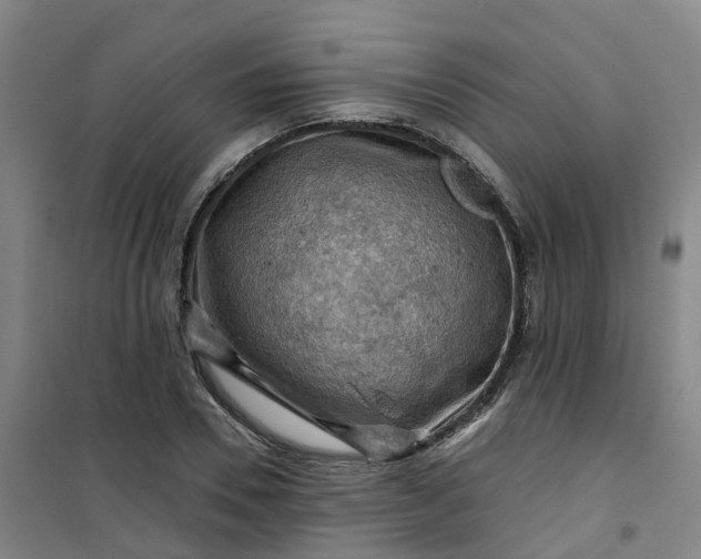 X0000101090930200807101545