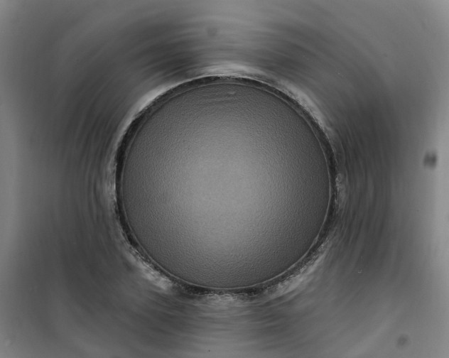 X0000101090931200807101545