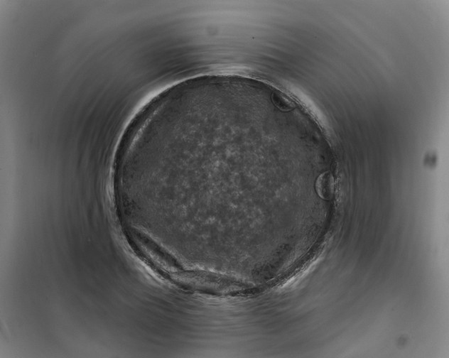 X0000101090932200807101545