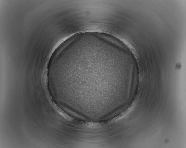 X0000101090933200807101545