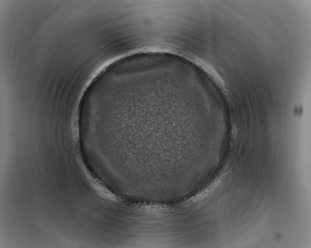 X0000101090934200807101545