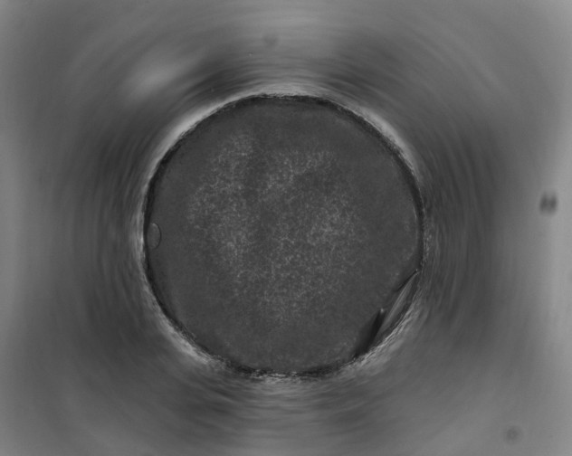 X0000101090935200807101545