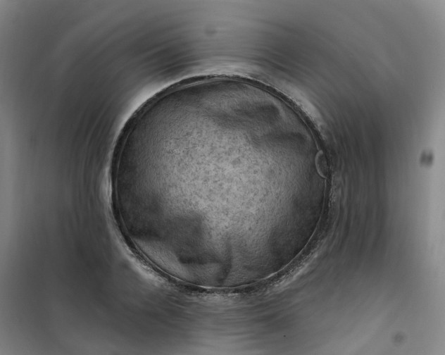 X0000101090936200807101545