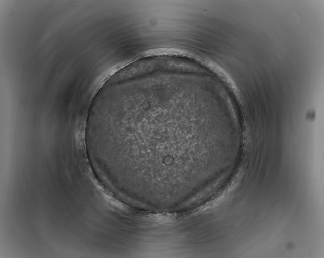 X0000101090937200807101545