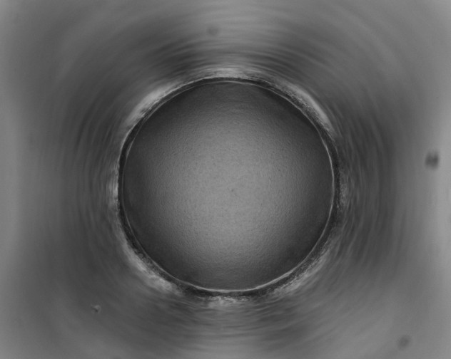 X0000101090938200807101545