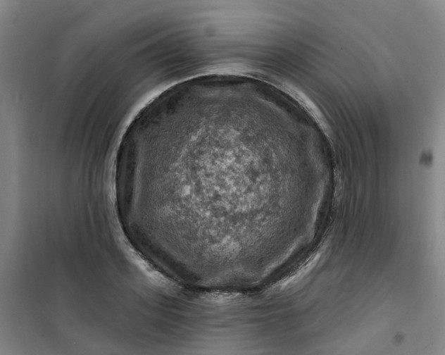 X0000101090939200807101545