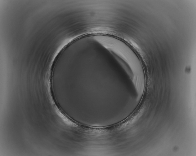 X0000101090941200807101545