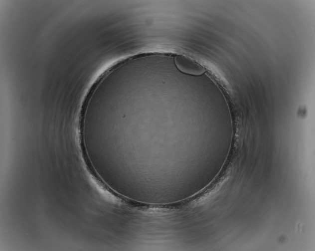 X0000101090942200807101545