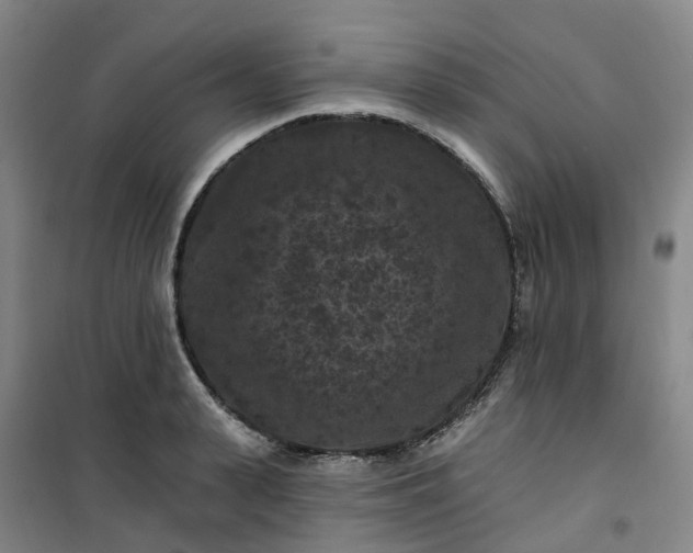 X0000101090943200807101545