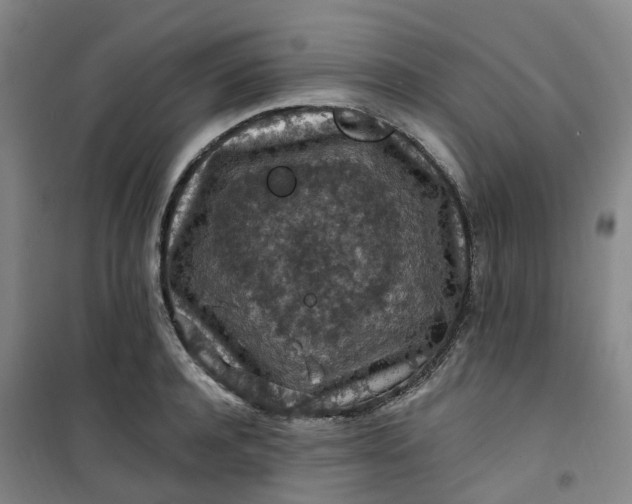 X0000101090944200807101545