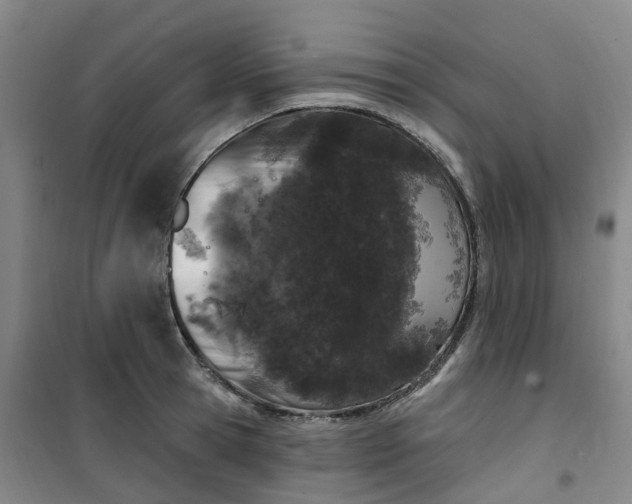 X0000101090945200807101545