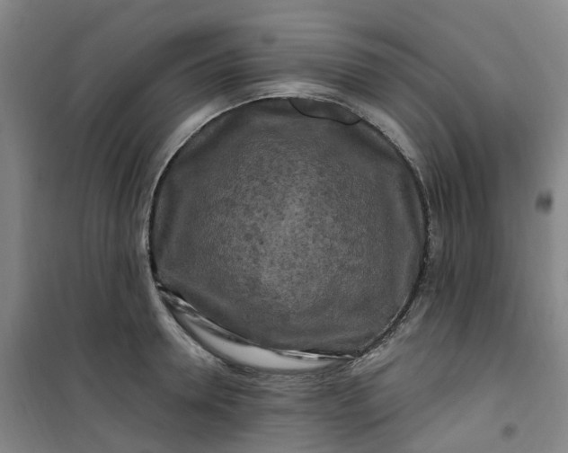 X0000101090946200807101545