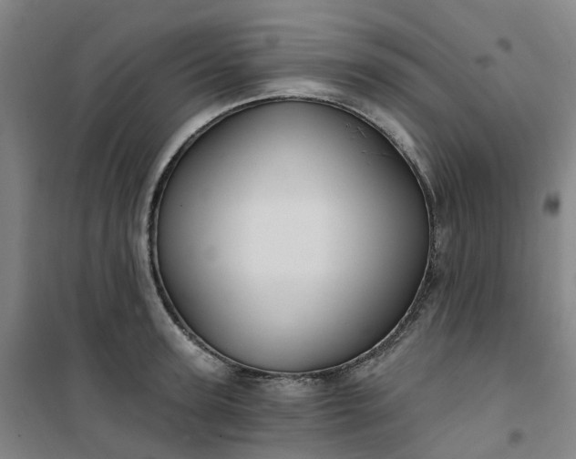 X0000101090947200807101545