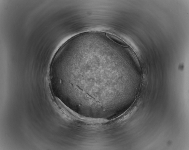 X0000101090948200807101545