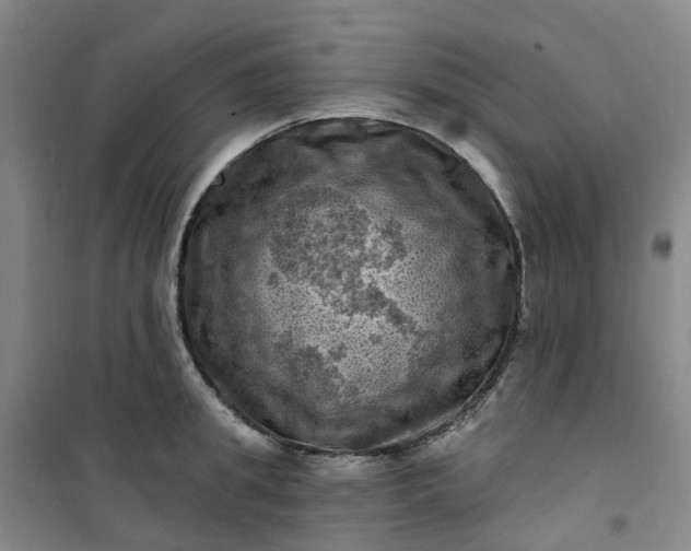 X0000101090949200807101545