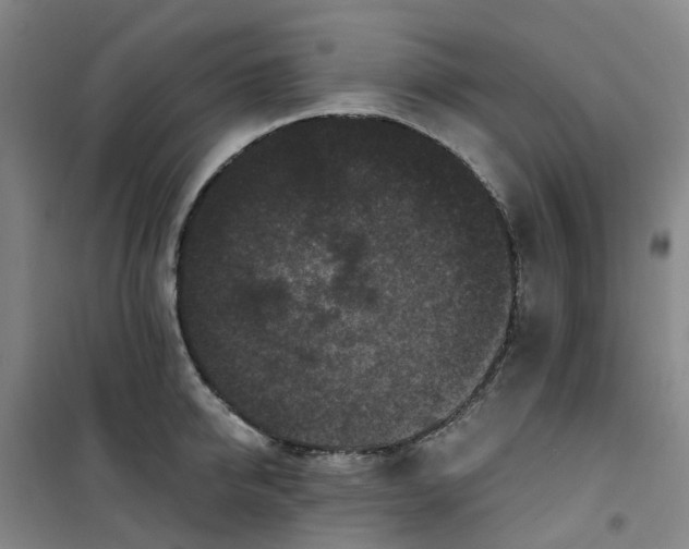 X0000101090950200807101545