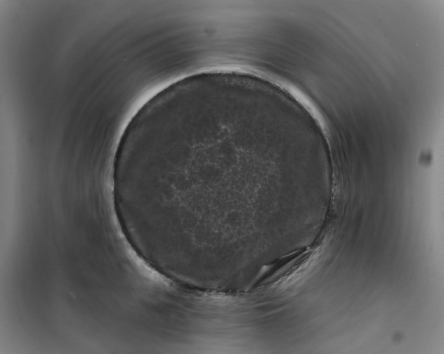 X0000101090951200807101545