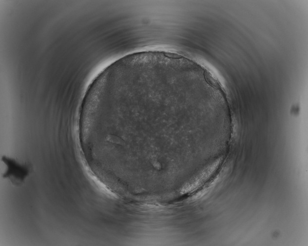 X0000101090952200807101545