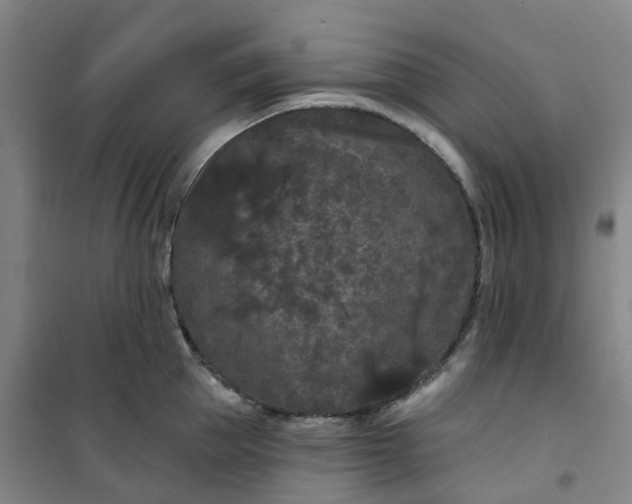 X0000101090953200807101545