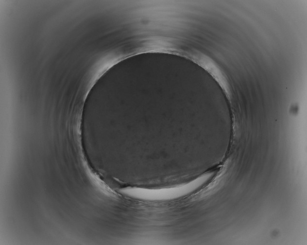 X0000101090954200807101545