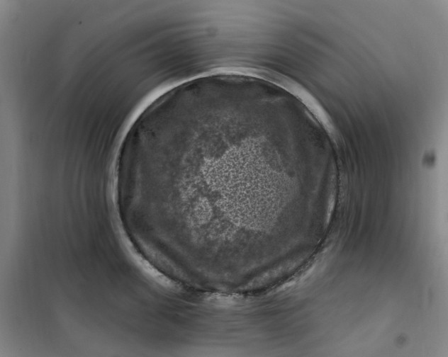 X0000101090955200807101545